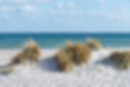 Sandstrand mt Dünengräsern an der Ostsee