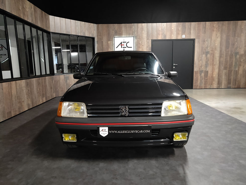 Thumbnail: Peugeot 205 GTI 1.9