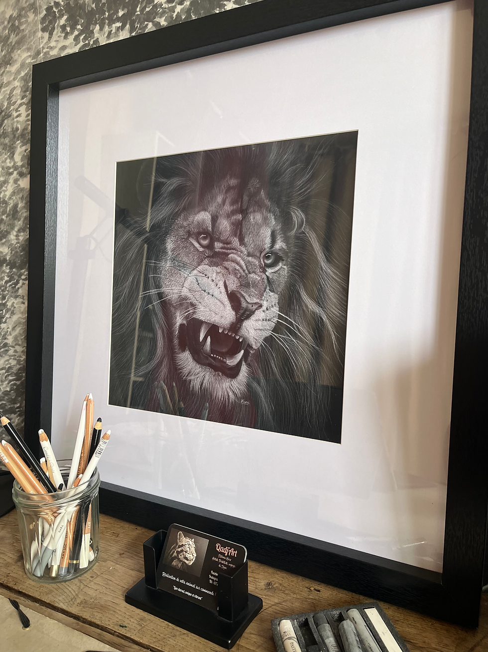 Miniature : Tirage Aslan