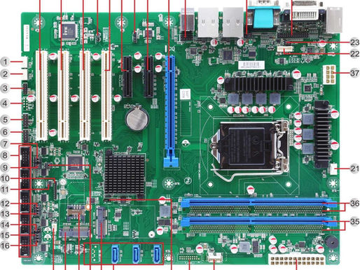 JSV-H310P