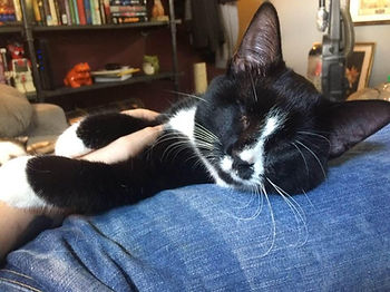 37376108_1779426342149200_13872850795369