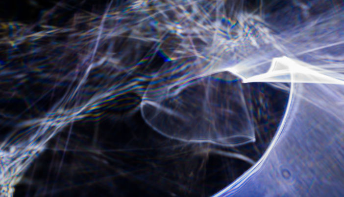 DSC_0046.jpeg