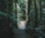 bobby-hendry-awvUdlcV5XA-unsplash_edited.jpg