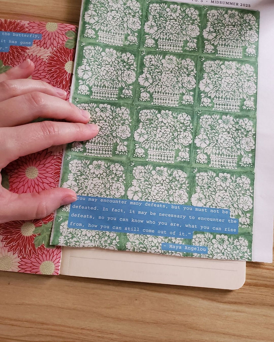 journal process shots