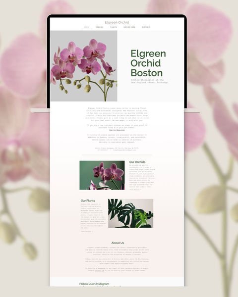 orchid wholesale website design