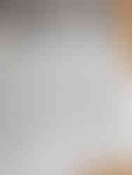 lauren clark quote in the boston globe