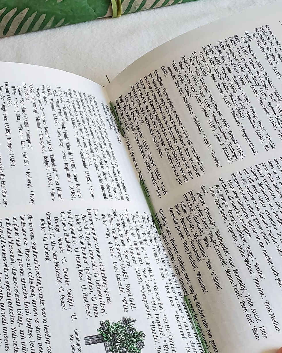 Thumbnail: Fern Junk Journal