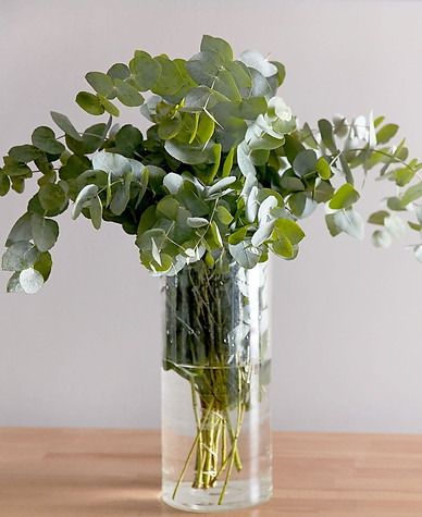 9e0f8ef0e4db4653bf63a83cd1996536_edited.