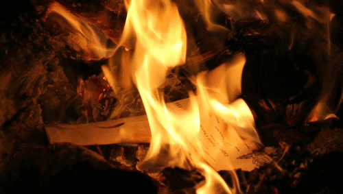 FIRE WOOD BURNING IN A FIREPLACE