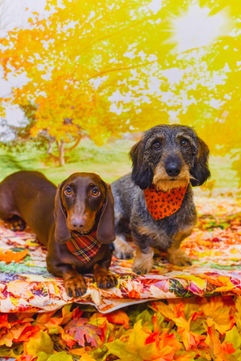 pupkinsocial-70.jpg