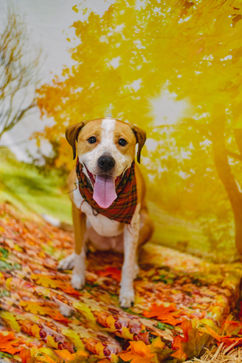 pupkinsocial-74.jpg