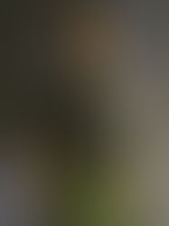 GTA Definitive Trilogy Coming This Holiday