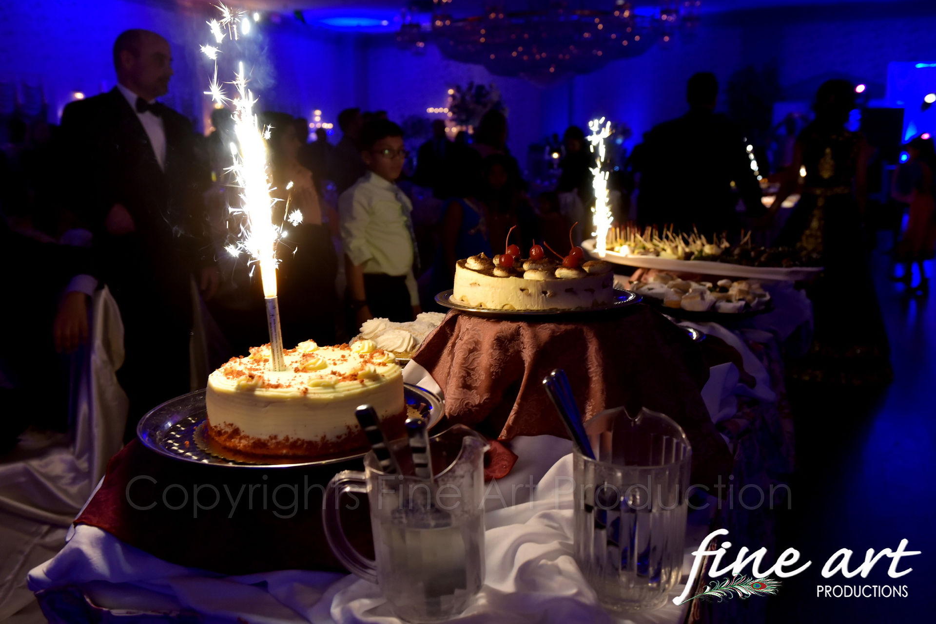 Indian Wedding Photographer Birchwood Manor_0109