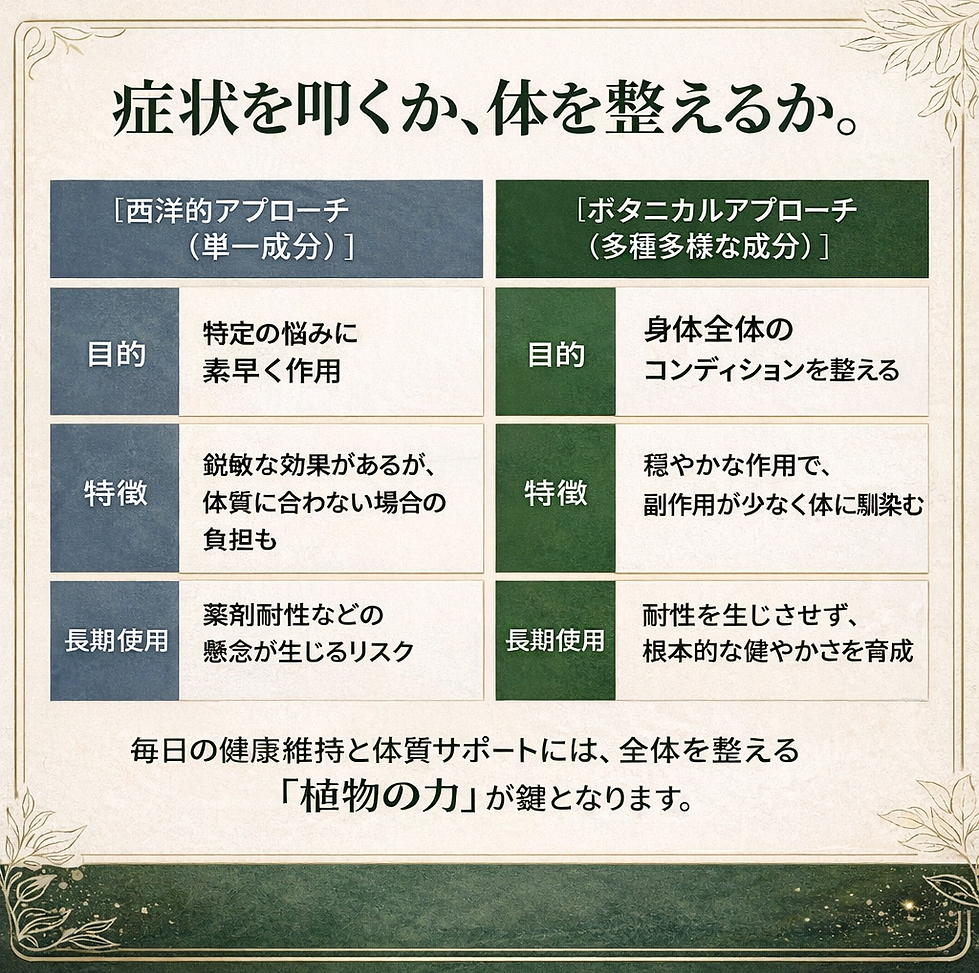 1D68C8BD-7125-4596-881C-1577508B21BB.PNG