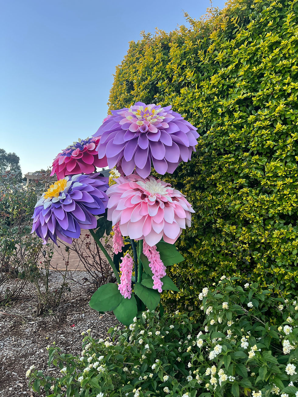 Thumbnail: Dahlia Colour Blend N3