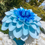 Thumbnail: “Gender Reveal” flower photozone 
