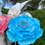 Thumbnail: “Gender reveal” bouquet 