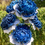 Thumbnail: Blue & Silver Modern Blooms