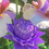 Thumbnail: “Spring” bouquet #3