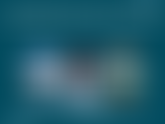 Explore the Garden State with Ease: Book Cheap Flight Tickets to New Jersey with Travelo1