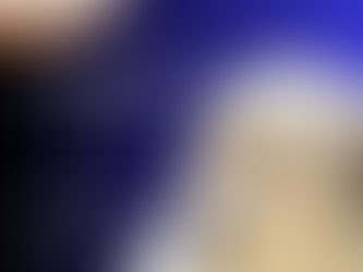 Top 5 Things To Contemplate Before Applying Wooden Flooring at Florence Carpets