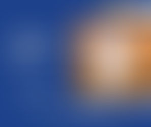 Electronic Pet Doors Installation Perth