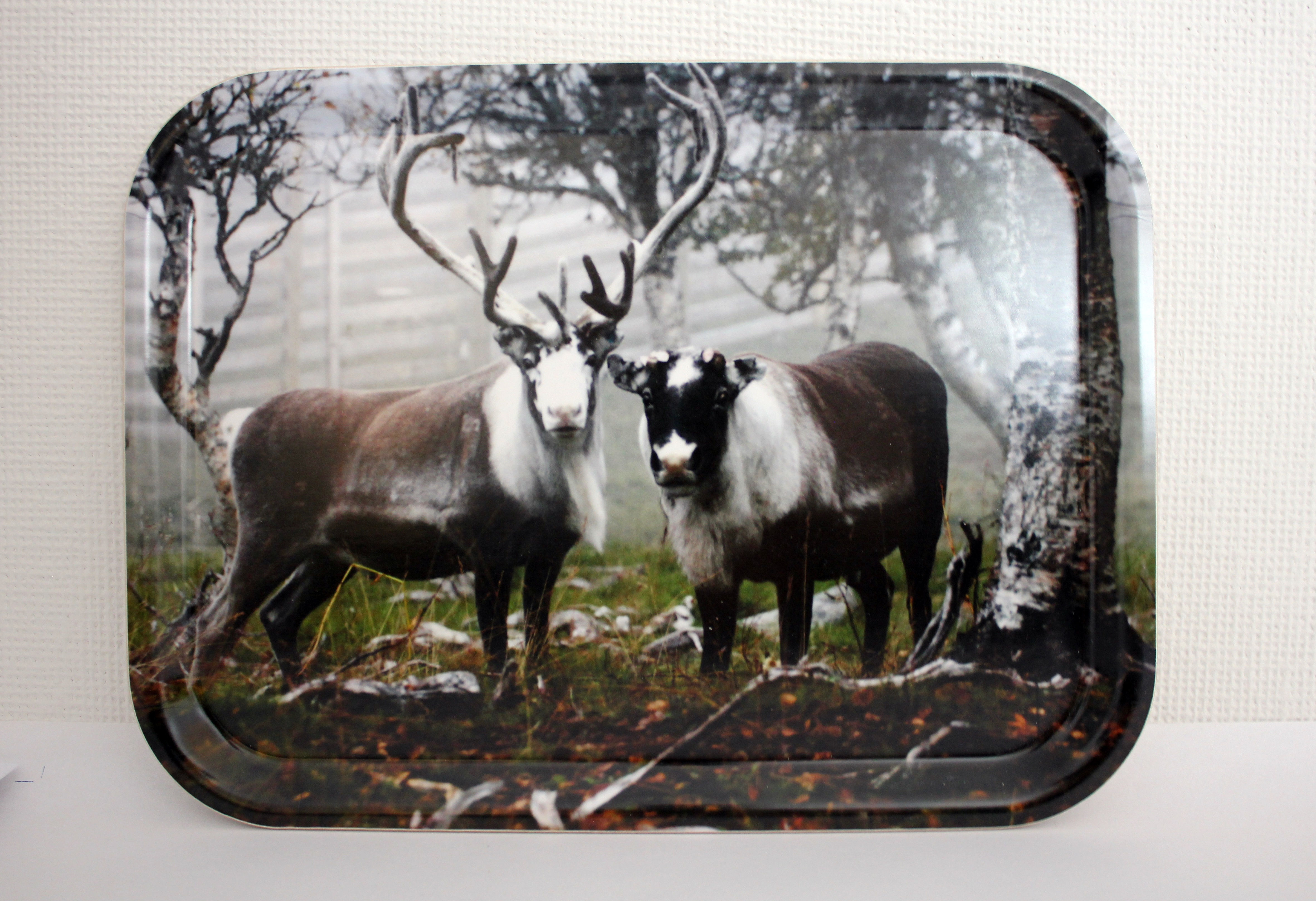 405 - Bricka 20x27cm