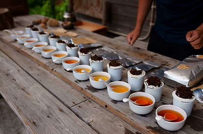 天の製茶園