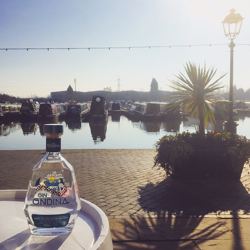 Italian Gins