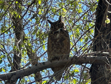 I'm Not Afraid To Fly Anymore