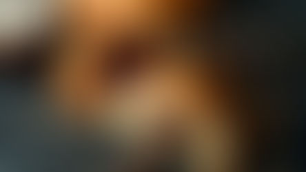 Croissants de chocolate