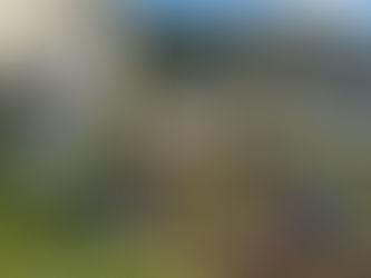 保×小連携交流活動〜お芋の収穫
