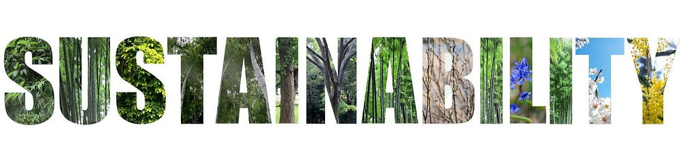 Sustainable Fashion Events and Initiatives