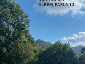 Quando gli alberi parlano: a Perinaldo un pomeriggio tra natura, storia e mistero