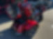 IMG_1307.jpeg