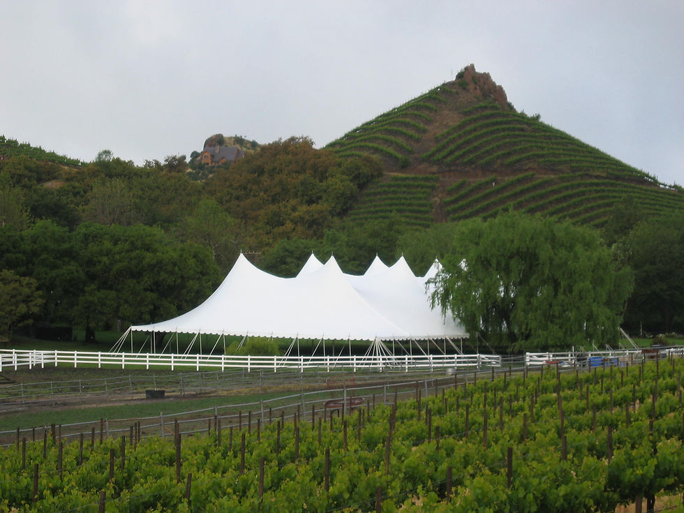 100' wide pole tent