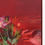 Thumbnail: “BOUQUET7”