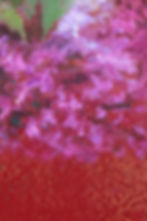 Thumbnail: “BOUQUET 6”