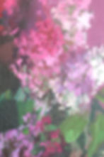 Thumbnail: “BOUQUET 6”