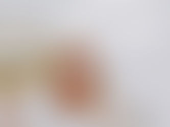 Zero Interest Payment Plans