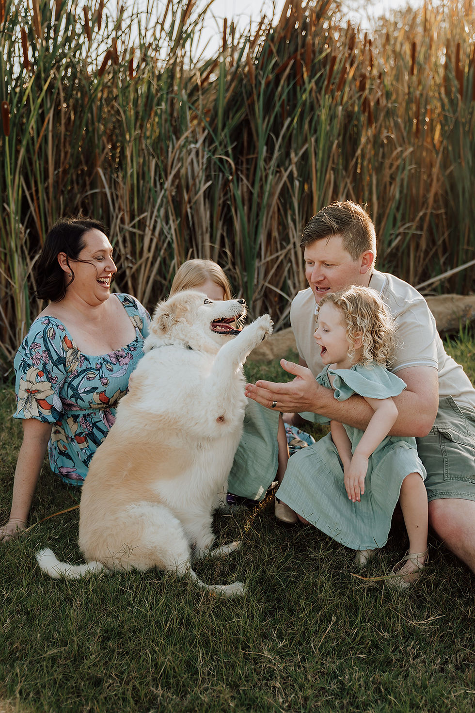 Brisbane family photographer captures dog shaking hands with family as they sit for group photo