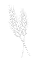 Copy%20of%20Simple%20Hand%20Written%20Fa