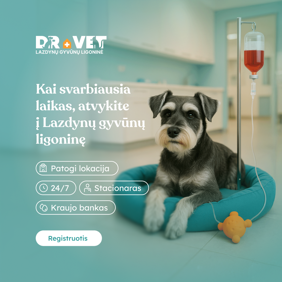 DR.VET