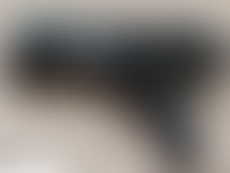 Retired Chicago Police Officer Richard Wooten travels to Kentucky to test Alternative weaponry to Re