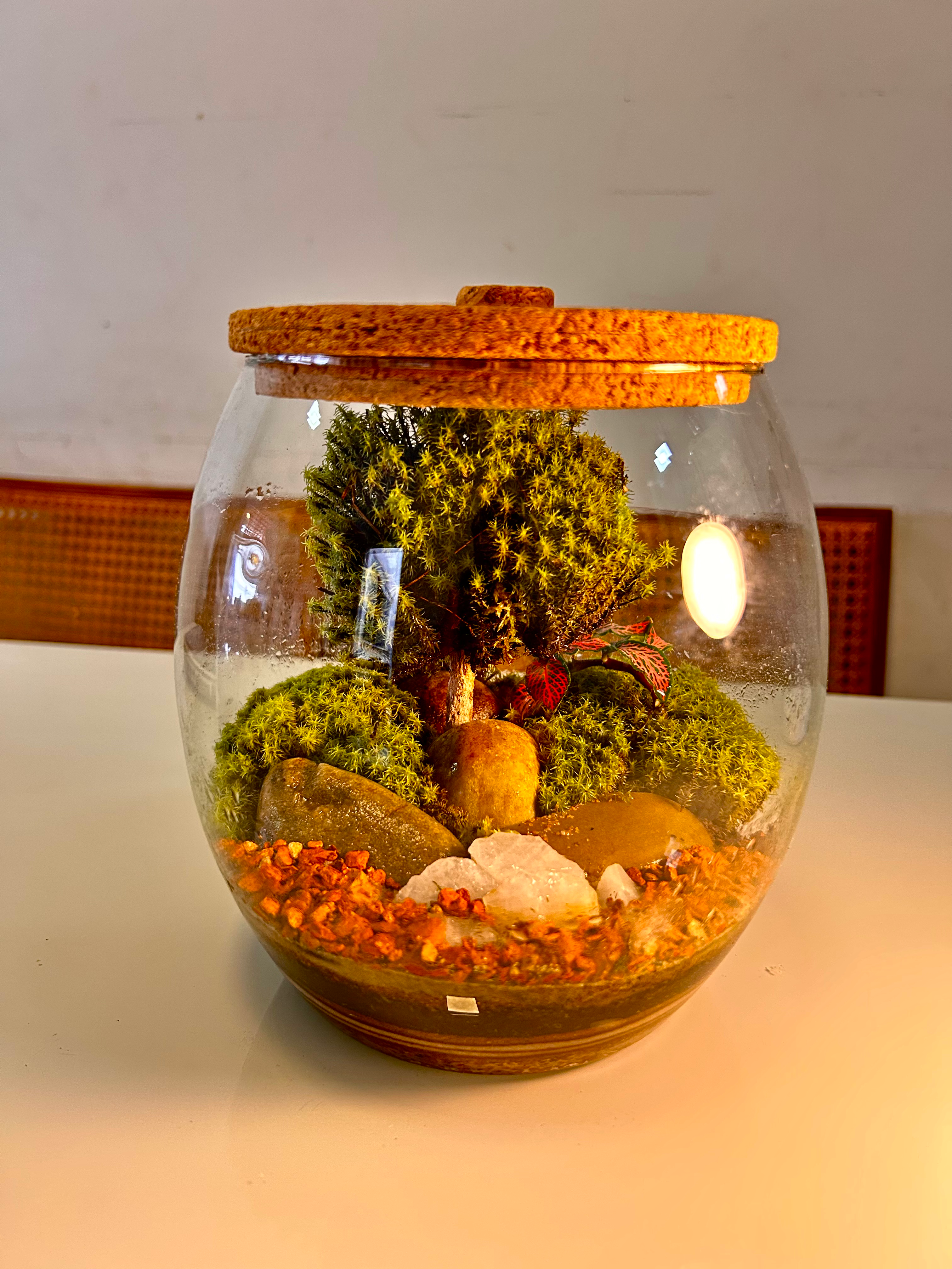 Terrario natural da prosperidade M 17x 20cm