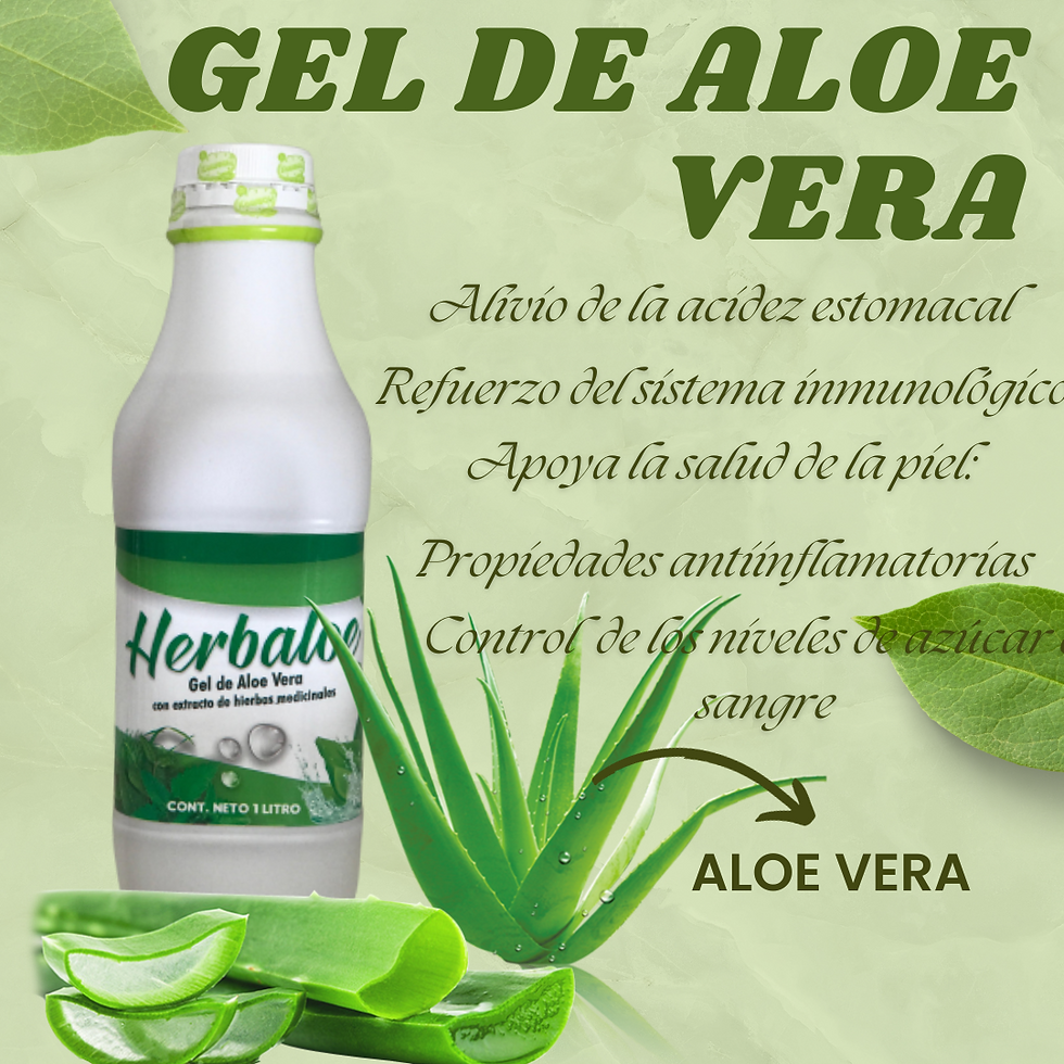 Beneficios para la salud del extracto de gel de Aloe Vera