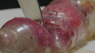 Screenshot 2025-12-17 at 16.43.36.png