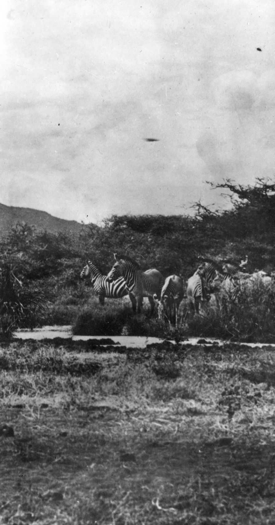 Sanford Africa009.jpg