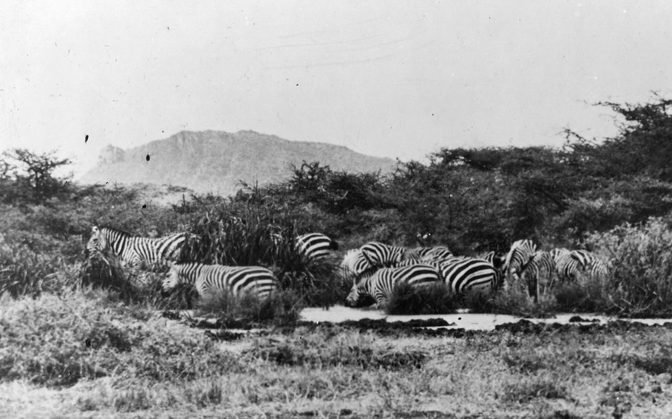 Sanford Africa021.jpg