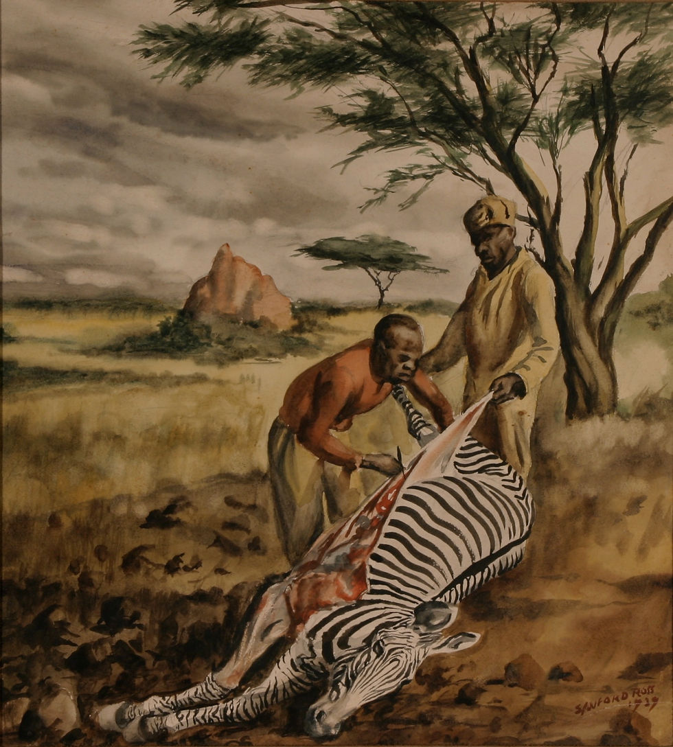 Zebra being Butchered